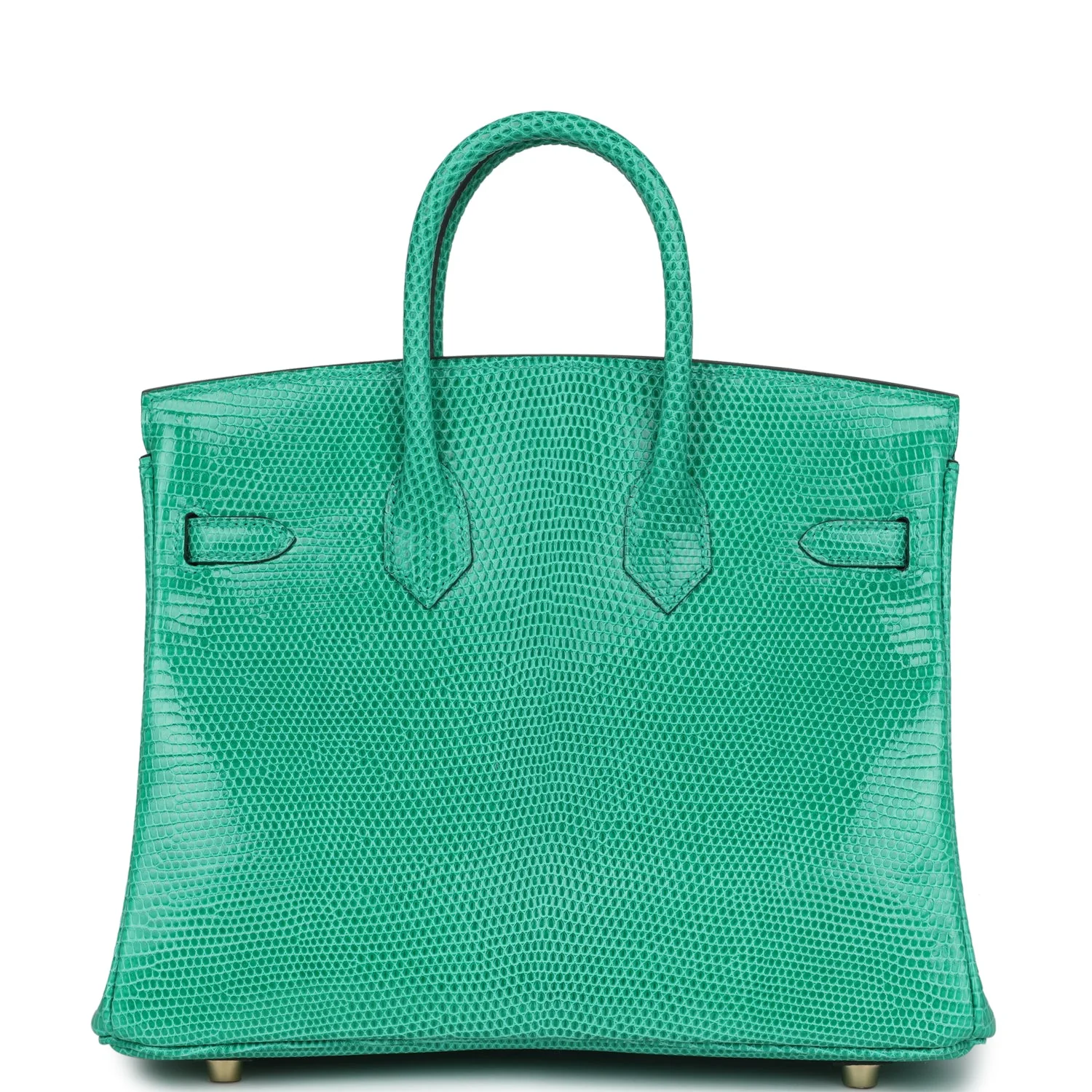 Hermes Birkin 25 Menthe Varanus Niloticus Lizard Gold Hardware - Image 4
