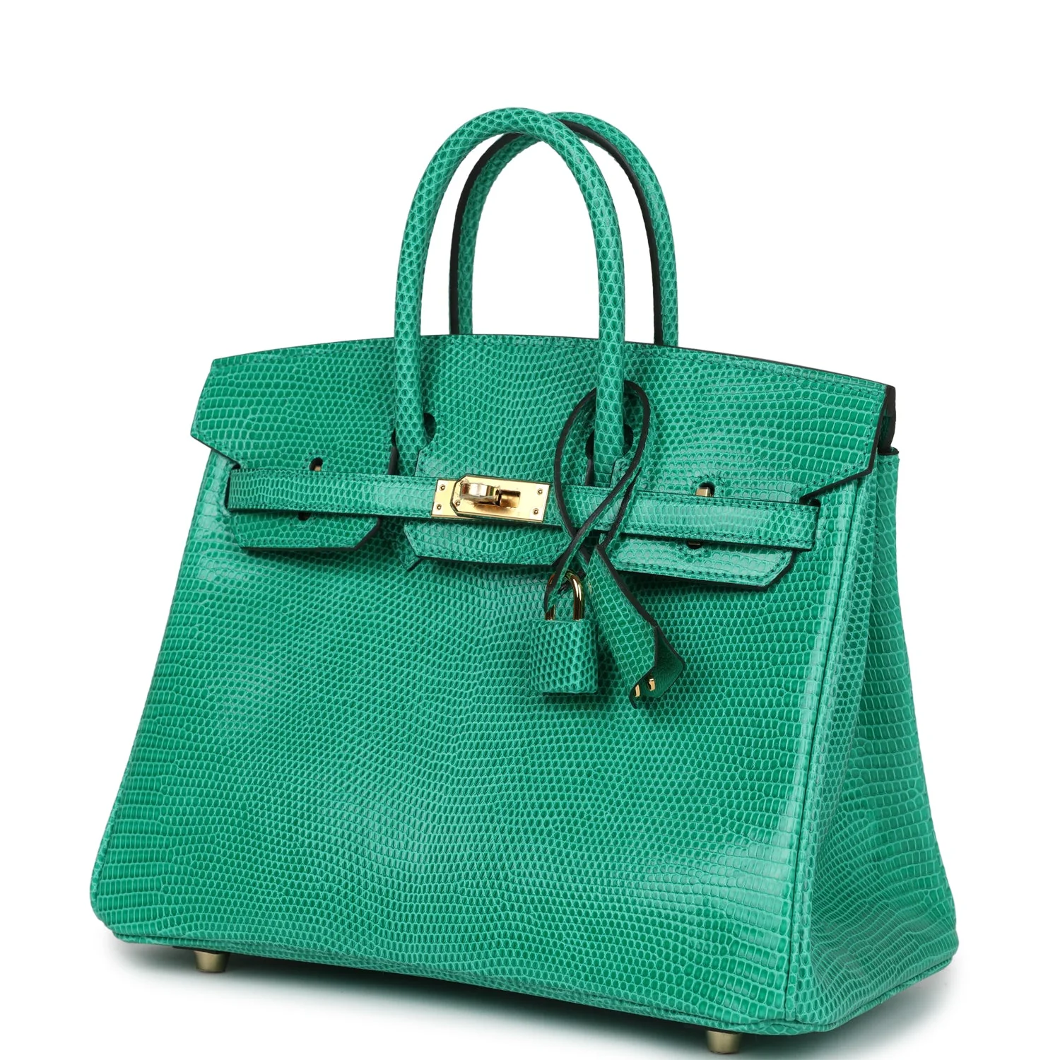 Hermes Birkin 25 Menthe Varanus Niloticus Lizard Gold Hardware - Image 5
