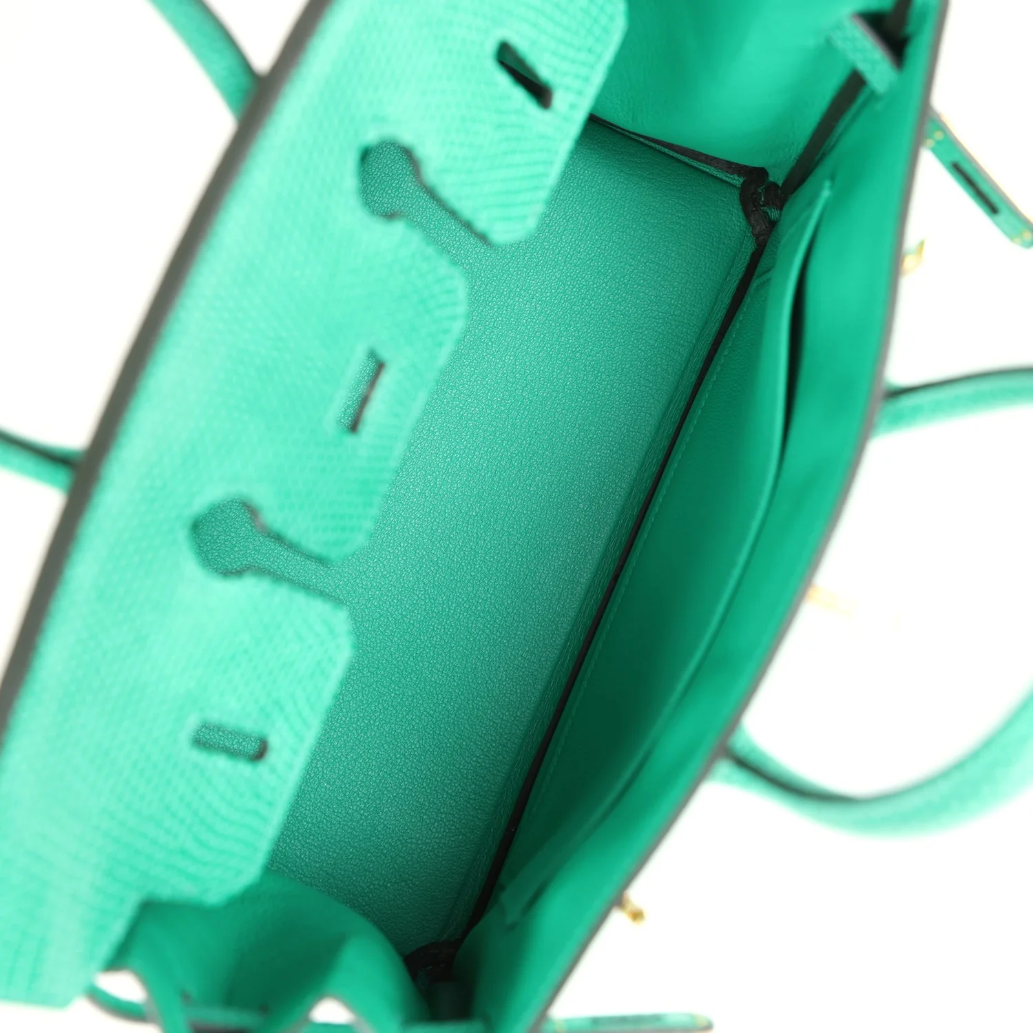 Hermes Birkin 25 Menthe Varanus Niloticus Lizard Gold Hardware - Image 8