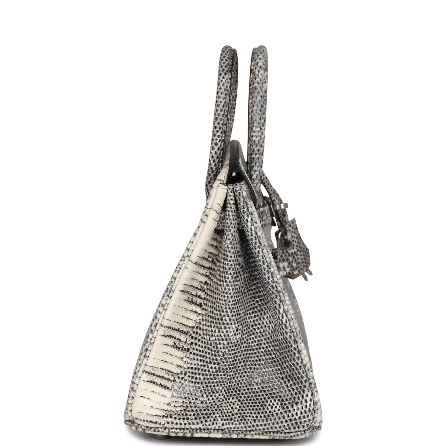 Hermes Birkin 25 Ombre Varanus Salvator Lizard Palladium Hardware - Image 3