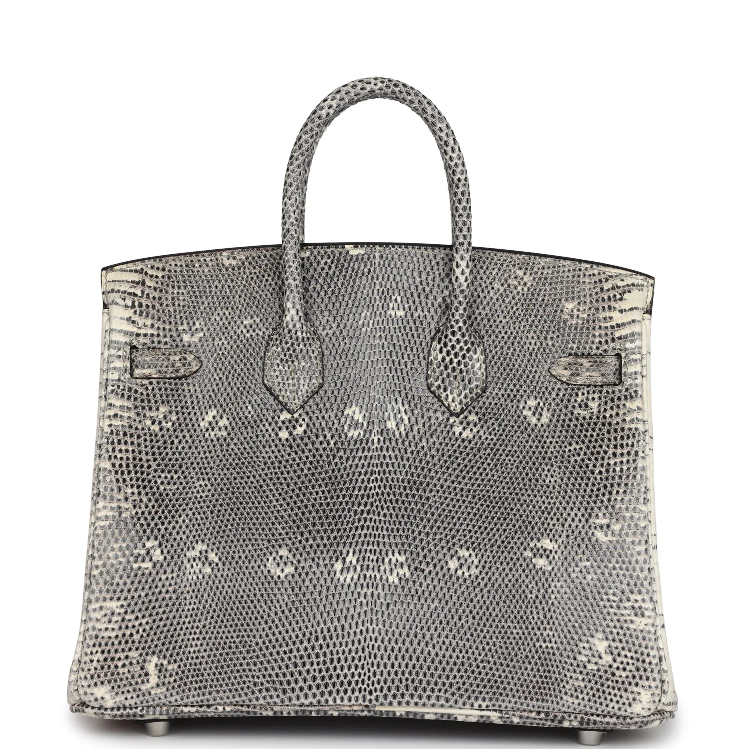 Hermes Birkin 25 Ombre Varanus Salvator Lizard Palladium Hardware - Image 4