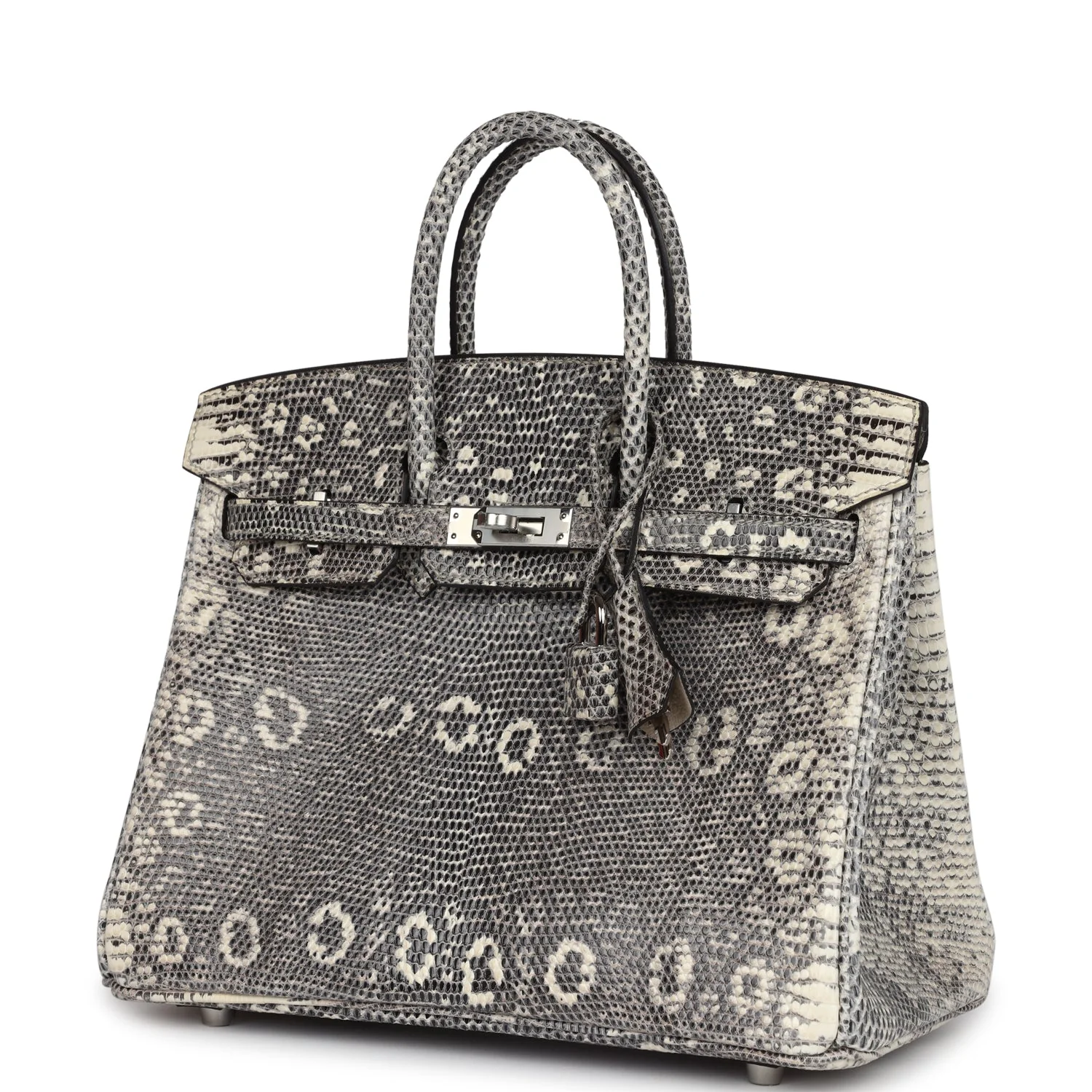 Hermes Birkin 25 Ombre Varanus Salvator Lizard Palladium Hardware - Image 5