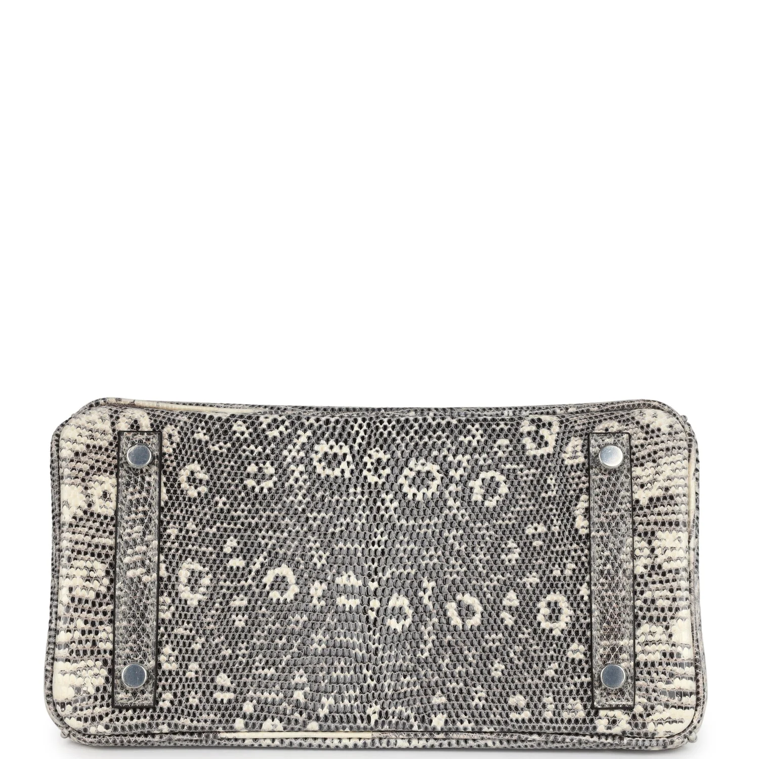 Hermes Birkin 25 Ombre Varanus Salvator Lizard Palladium Hardware - Image 6