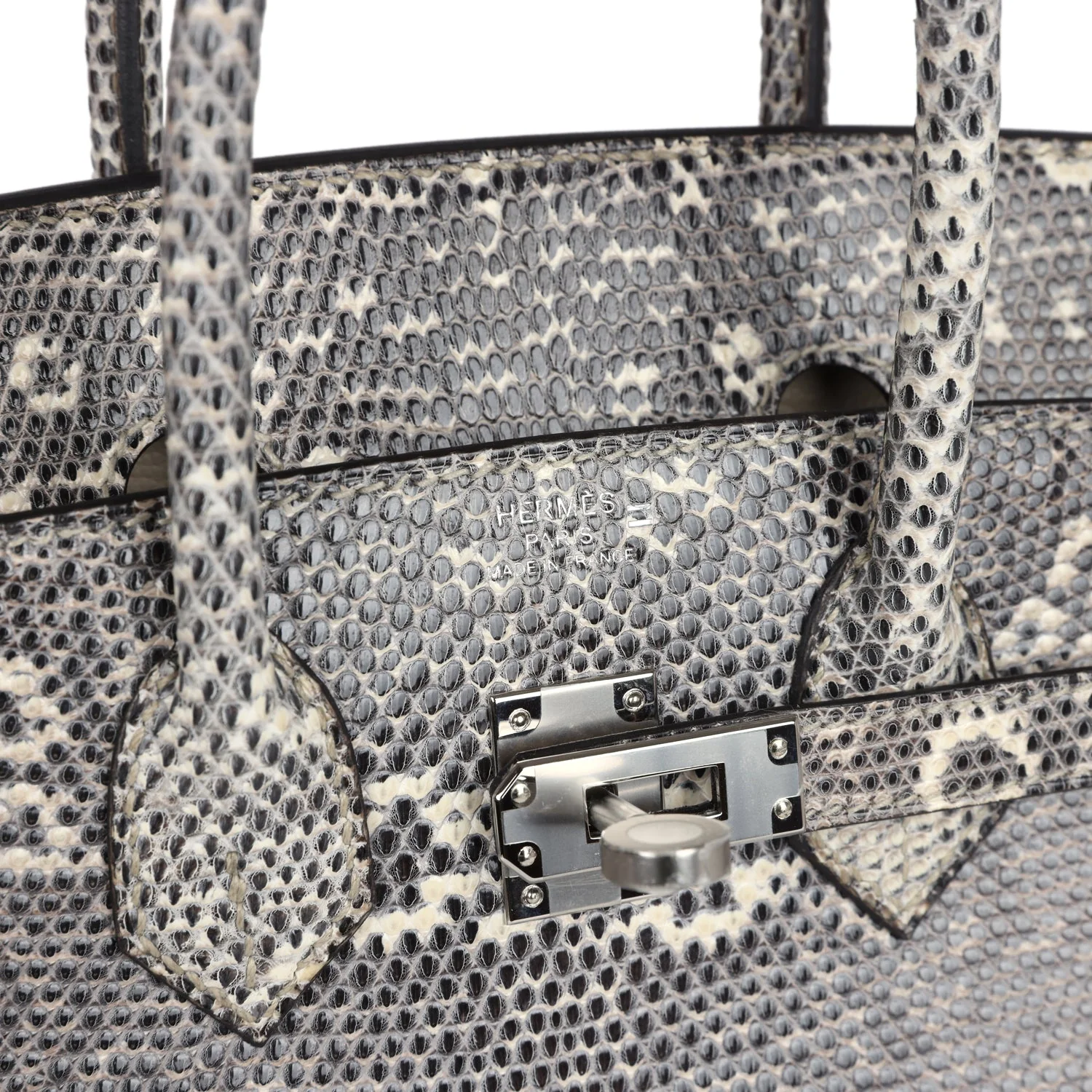 Hermes Birkin 25 Ombre Varanus Salvator Lizard Palladium Hardware - Image 7