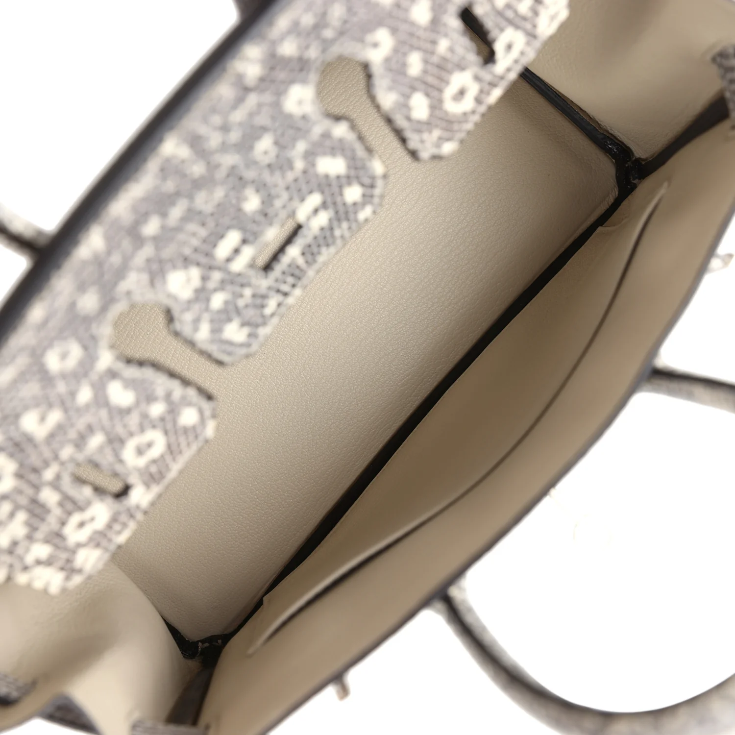 Hermes Birkin 25 Ombre Varanus Salvator Lizard Palladium Hardware - Image 8