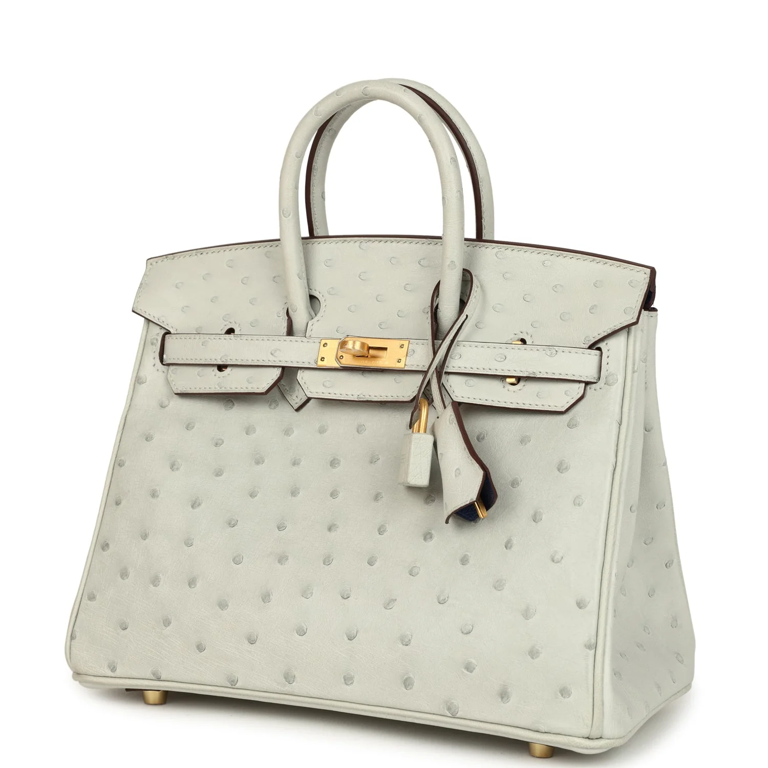 Hermes Special Order (HSS) Birkin 25 Gris Perle Verso Ostrich Brushed Gold Hardware - Image 5